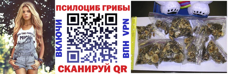 это состав  наркотики  Сольвычегодск  Галлюциногенные грибы прущие грибы 