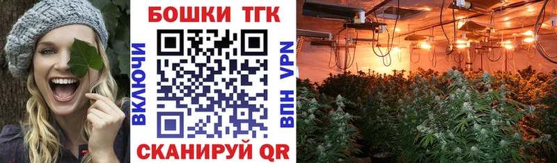 omg tor  Сольвычегодск  Марихуана OG Kush  цены наркотик 